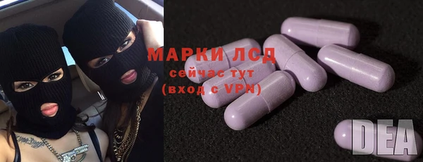 сатива Абинск