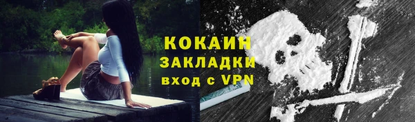 дживик Алексин