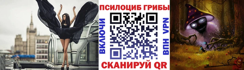 Галлюциногенные грибы прущие грибы  купить наркотики цена  Опочка 